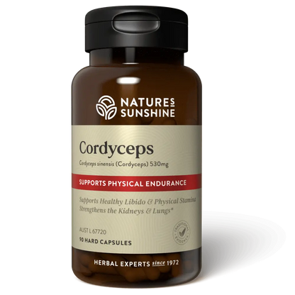 Cordyceps