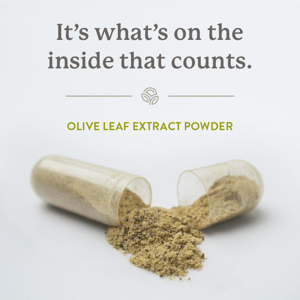 Olive Leaf Extract