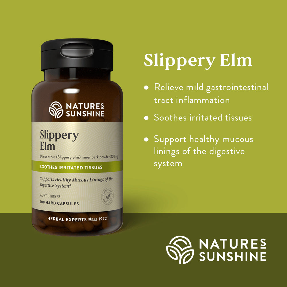 Slippery elm  Medicinal Uses, Healing Properties, Herbal Remedies